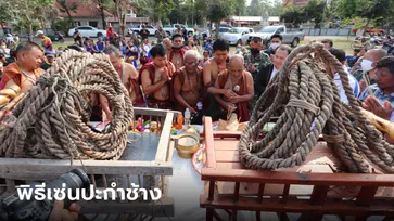 เปิดภาพสุดขลัง พิธีเซ่นปะกำช้าง คอหวยไม่พลาด เลขเด็ดหัวหมู-อายุหมอช้างอาวุโส